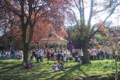 Hog Roast Event